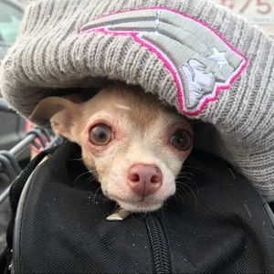 Meet your Posher, Jacqueline